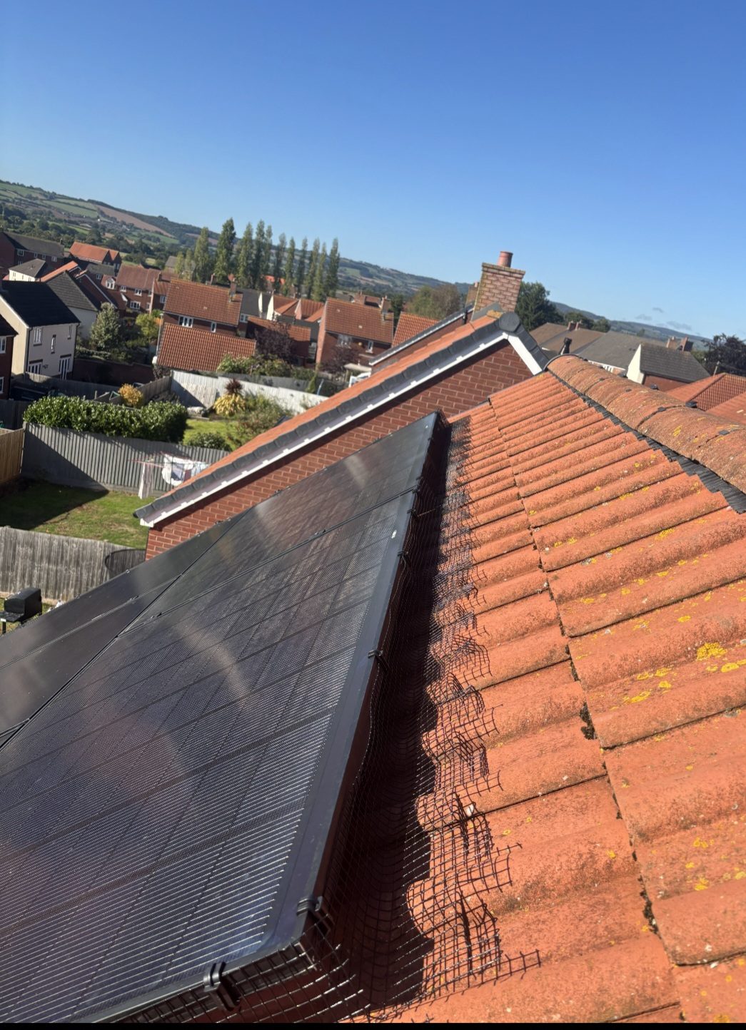 Solar panel bird-proofing in Somerset